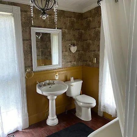 Irishette - Charming Suite In 1893 Victorian Home Dublin Exterior photo
