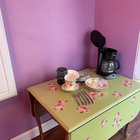Irishette - Charming Suite In 1893 Victorian Home Dublin Exterior photo