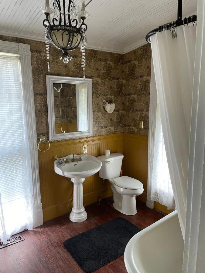 Irishette - Charming In 1893 Victorian * Dublin